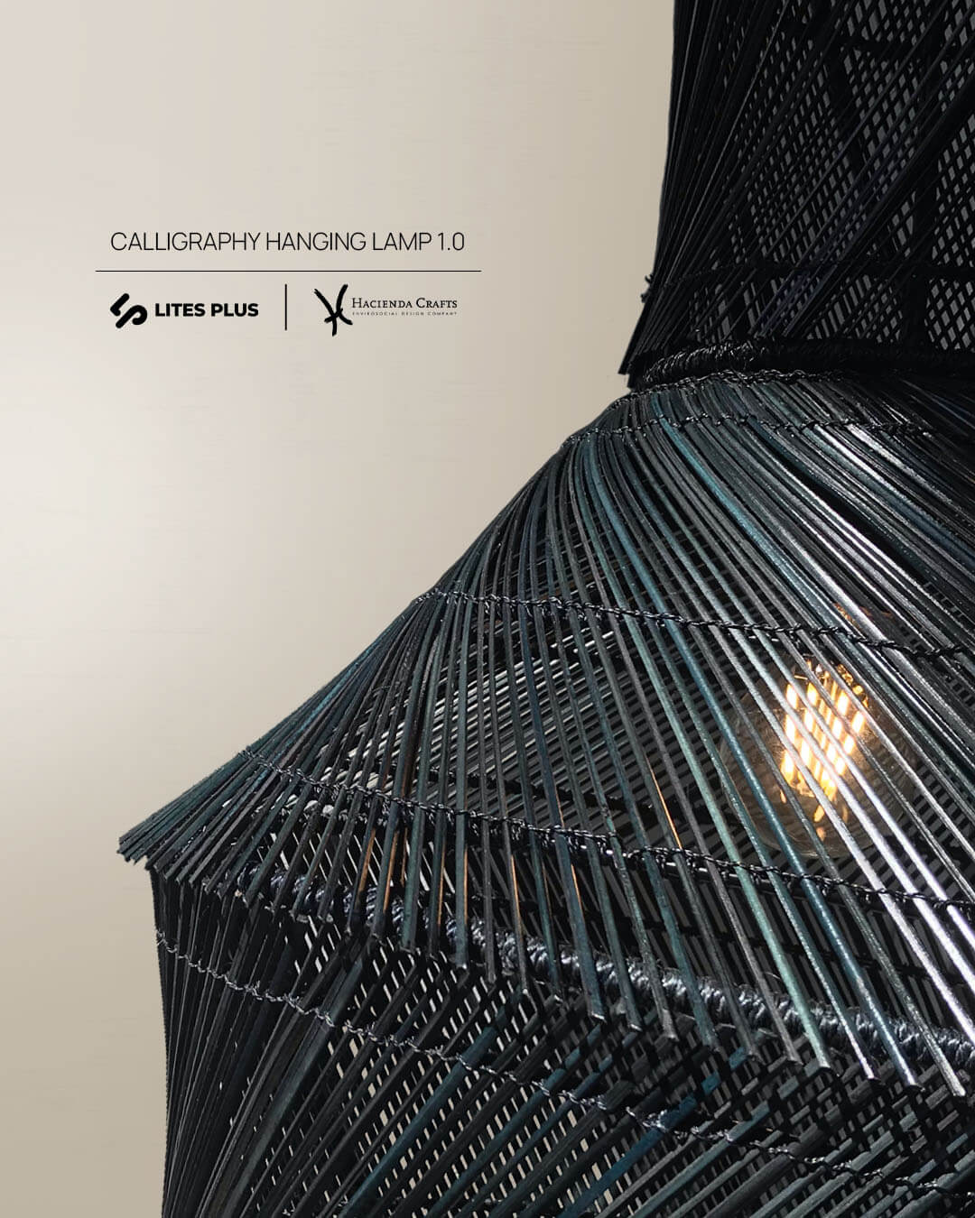 Calligraphy Hanging Lamp by Lites Plus